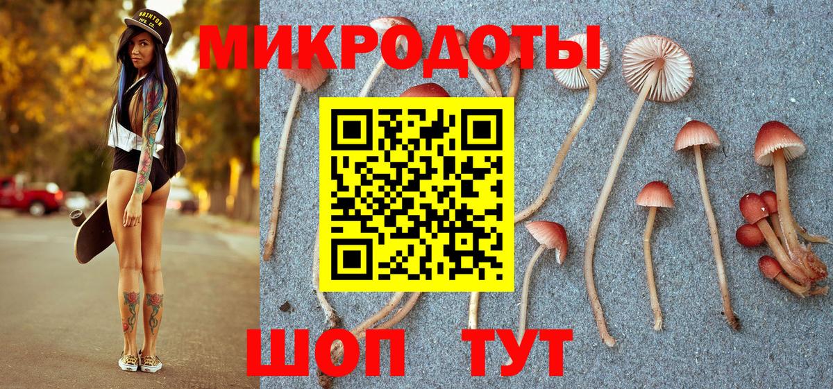 Галлюциногенные грибы ЛСД Кандалакша